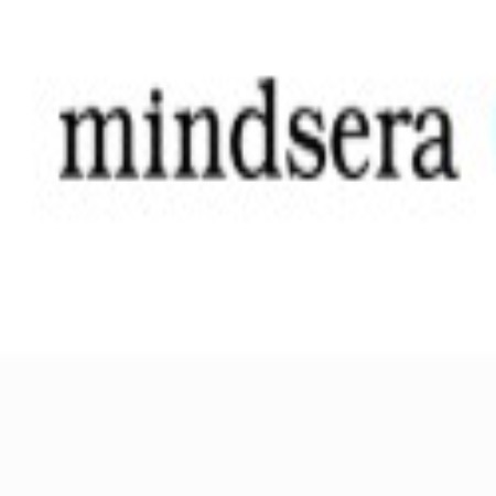 Mindsera 
