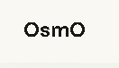 OsmO