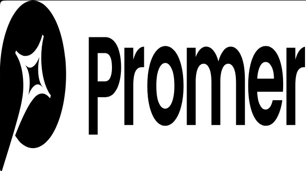 Promer AI