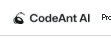 CodeAnt
