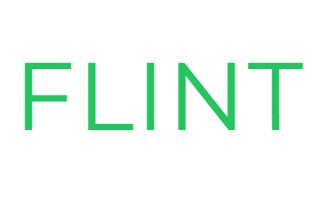 Flint AI
