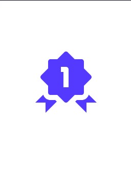 1Scholar Citation Checker