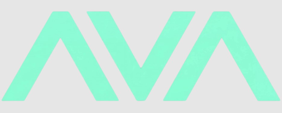 AVA Digital InTake