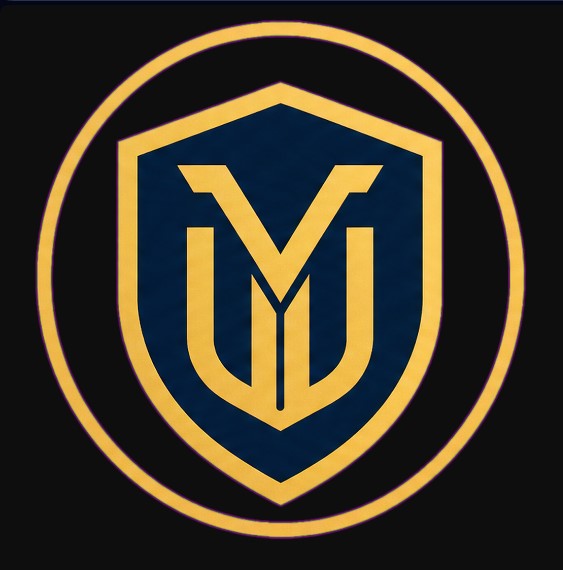 Vault Executive