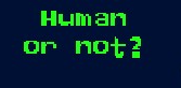 Human or Not