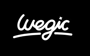 Wegic