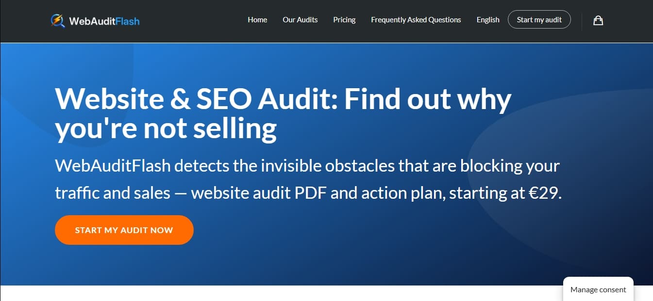 WebAuditFlash screenshot 1