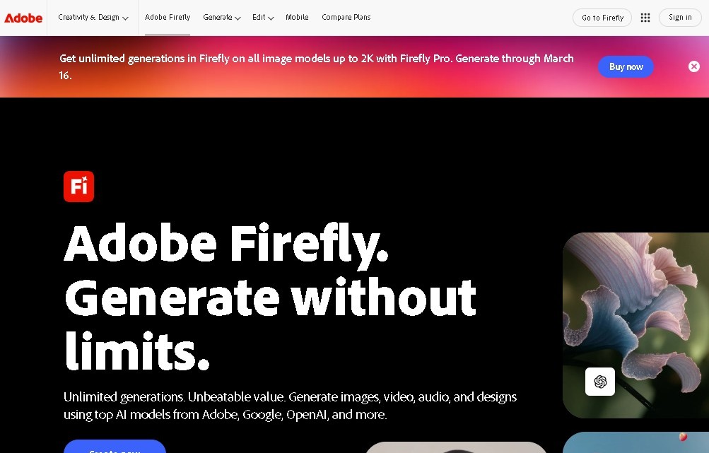 Adobe screenshot 1
