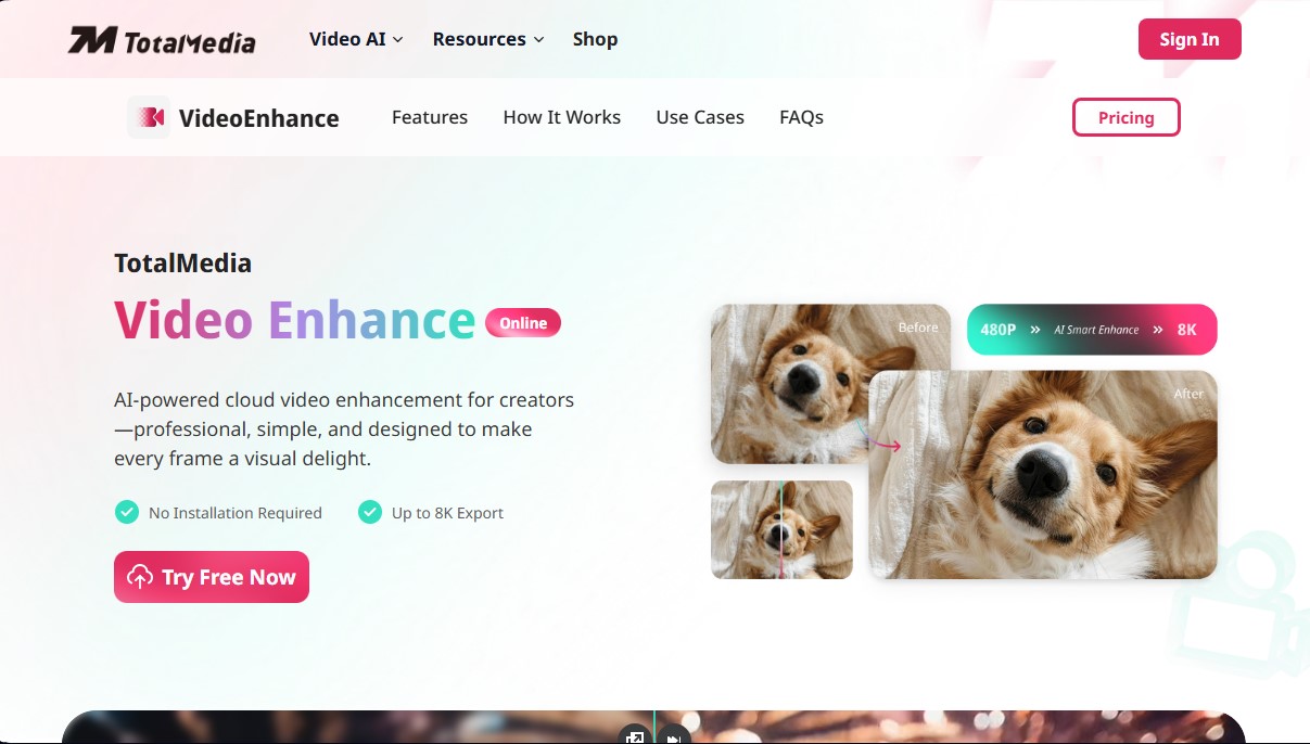 TotalMedia Video Enhancer screenshot 1