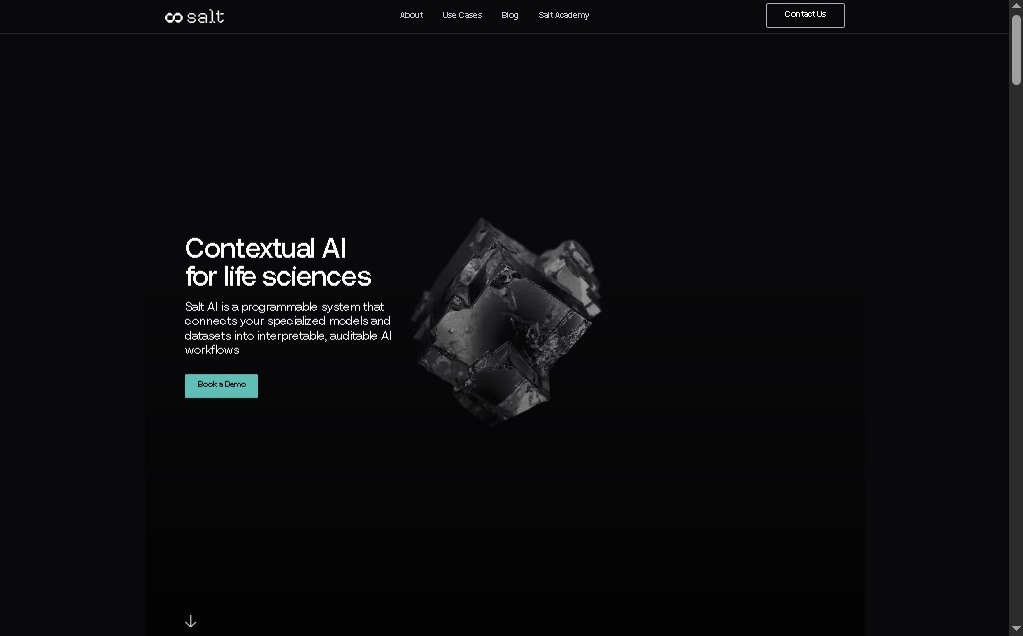 Salt screenshot 1