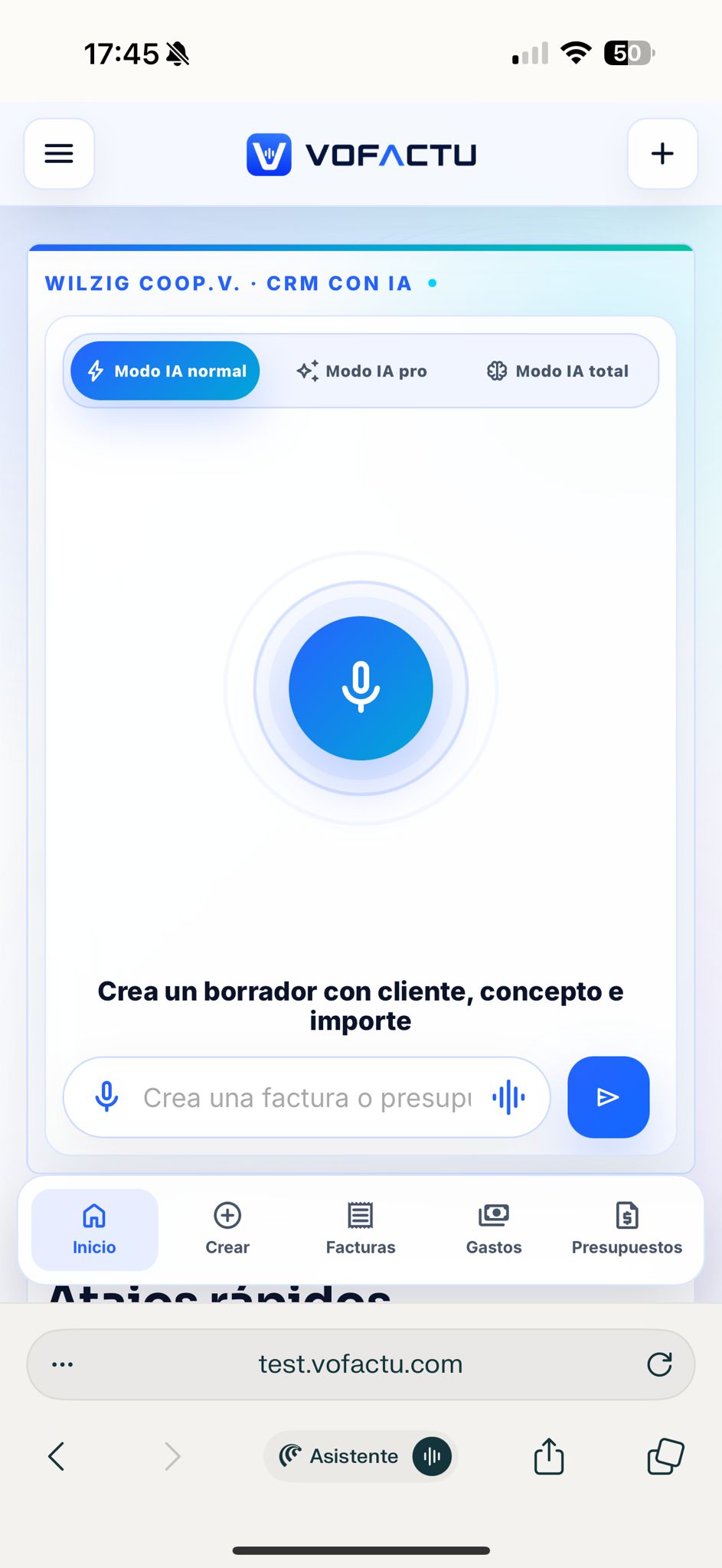 VoFactu screenshot 2